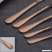 HOMQUEN 20-Piece Copper Color Set Service for 4 Stainless Steel Knives Forks Spoons Cutlery Set Rose Gold Plated Tableware Set Dishwasher Safe(Rose Gold - 20 Piece) - B077YMWB8W